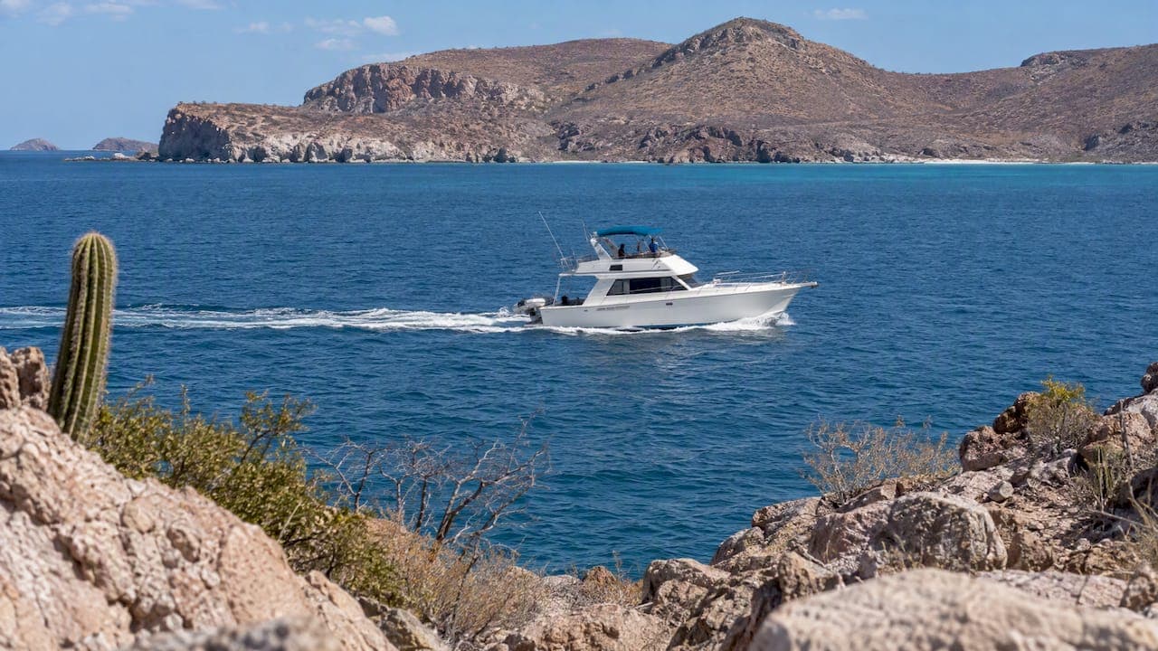 La Paz Charters: Reach Espíritu Santo in About an Hour
